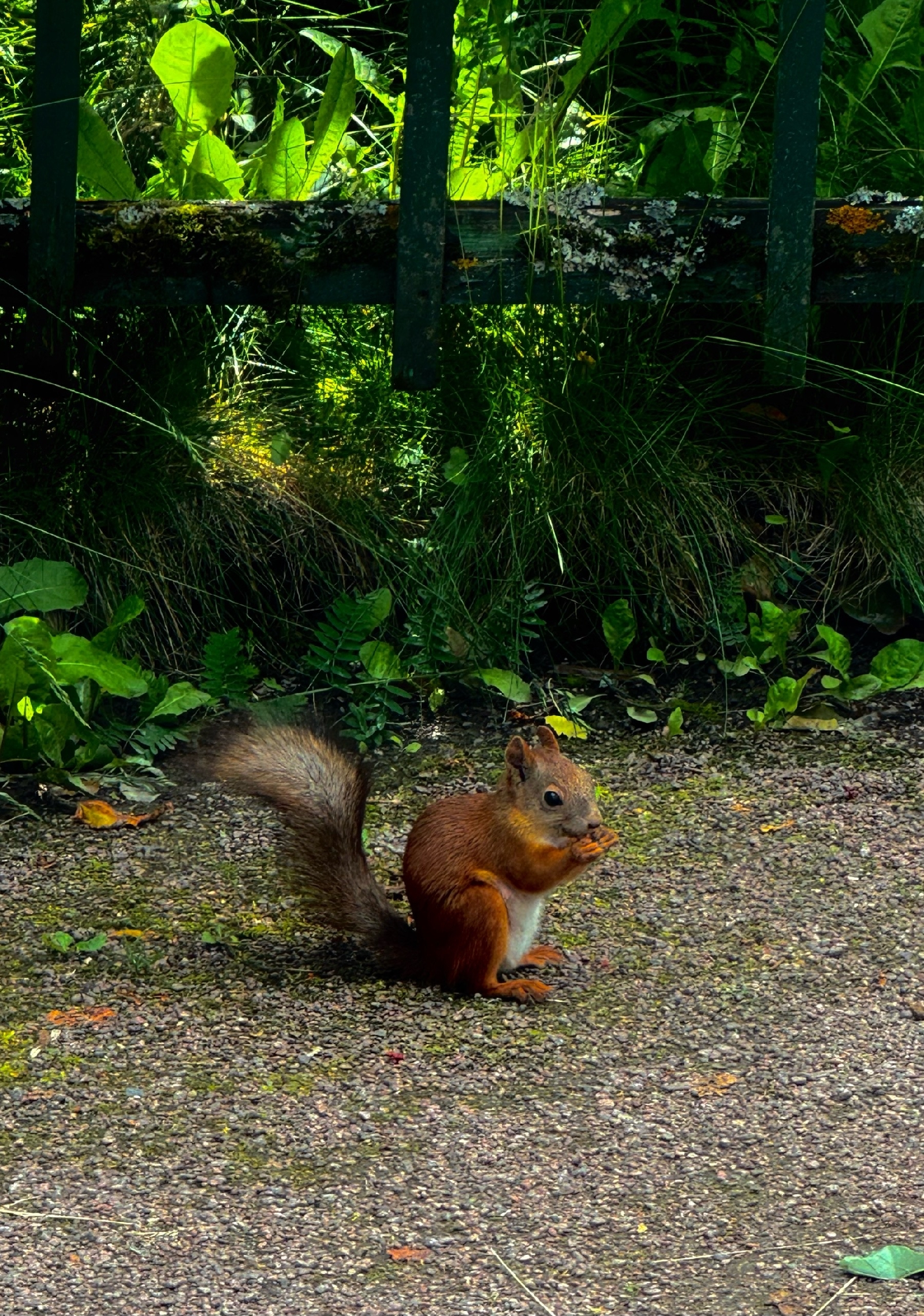 Фотоконкурс - 2025!