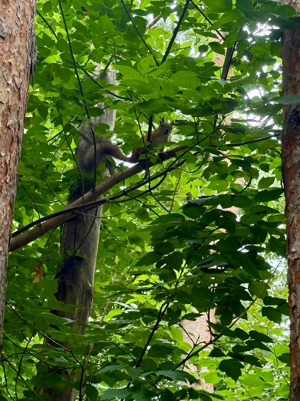 Фотоконкурс - 2025!