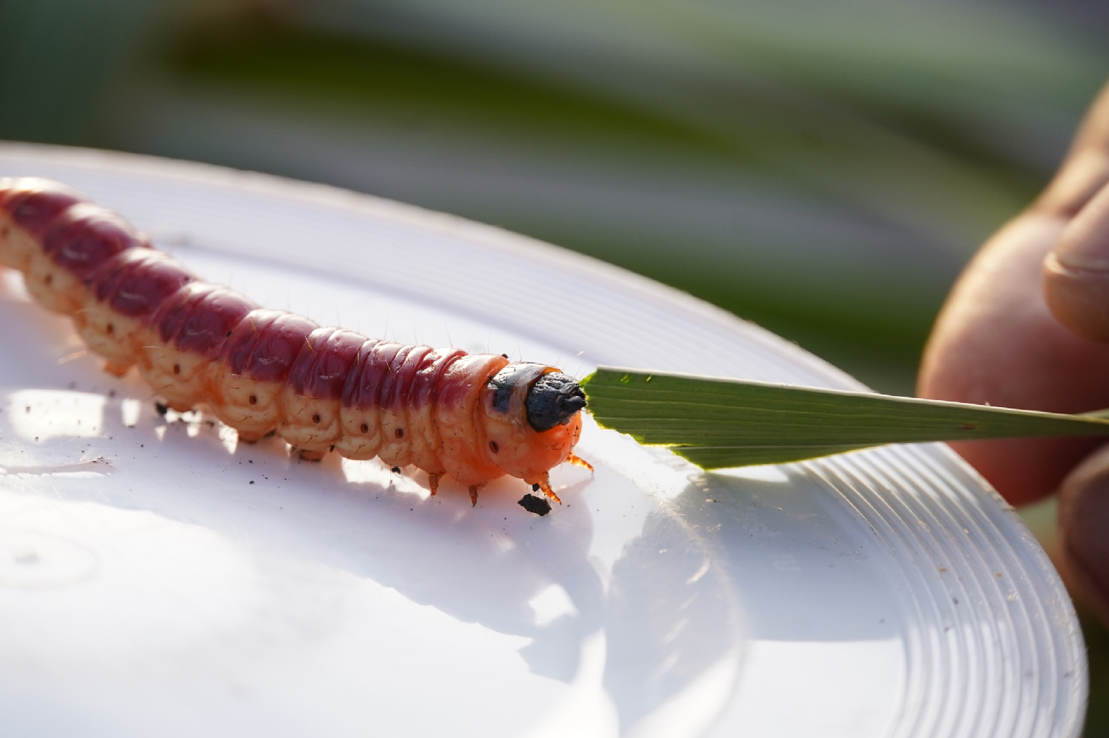 Фотоконкурс - 2025!