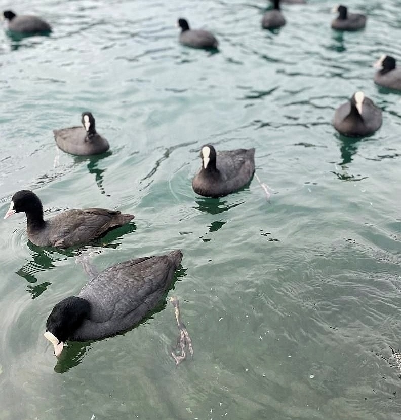 Фотоконкурс - 2025!