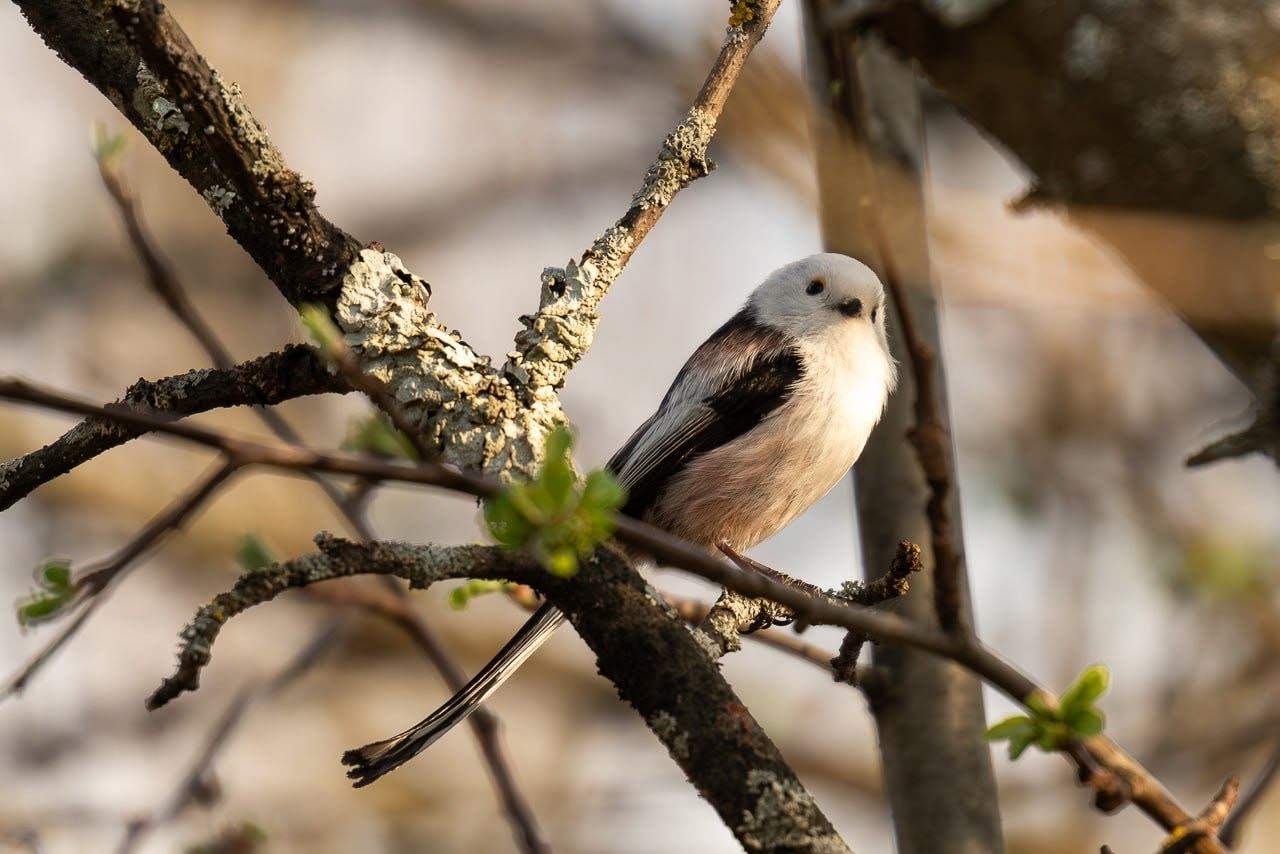Фотоконкурс - 2025!