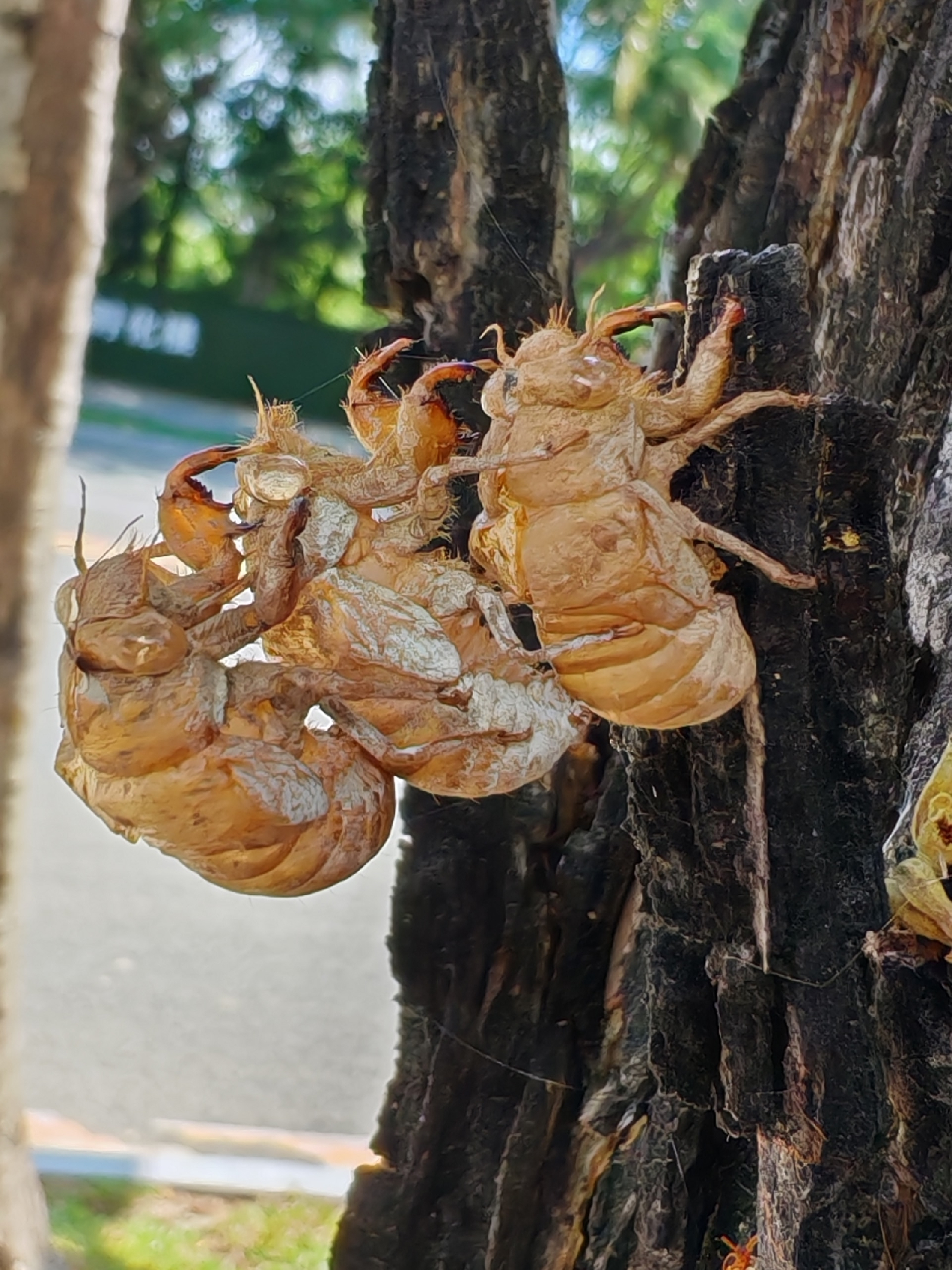 Фотоконкурс - 2025!