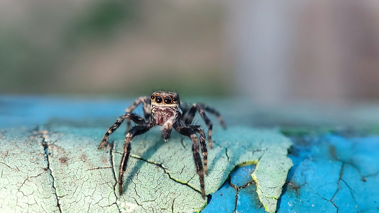 Фотоконкурс - 2025!