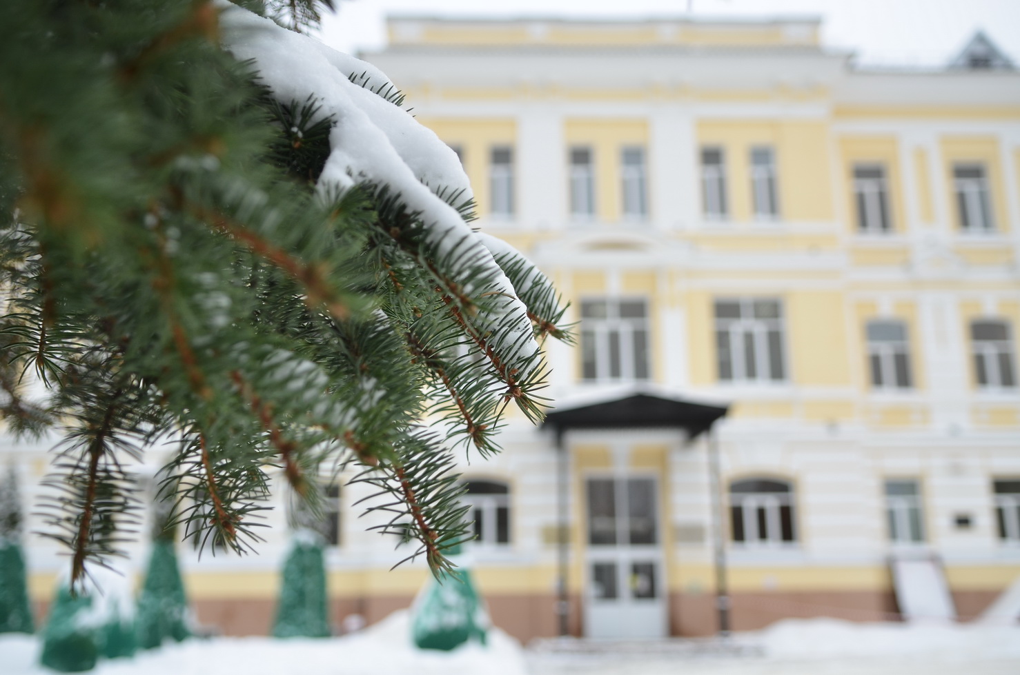 Международный день «спасибо»: именитые выпускники ПГУ поделились с нами своими воспоминаниями и размышлениями